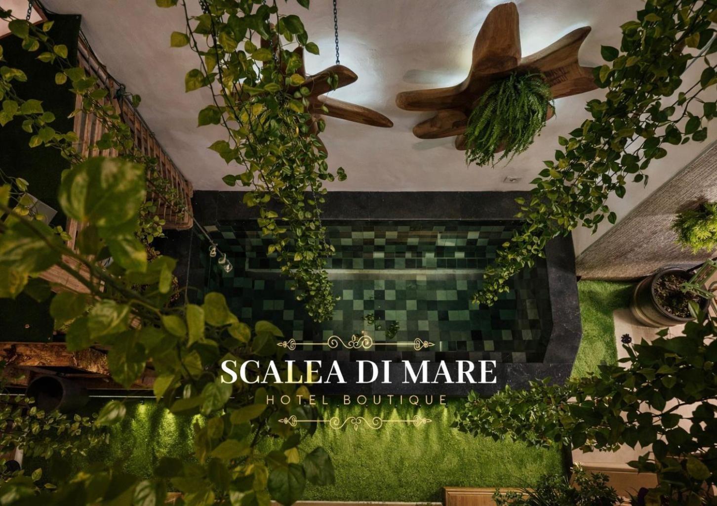 Scalea Di Mare Hotel — Photos 1